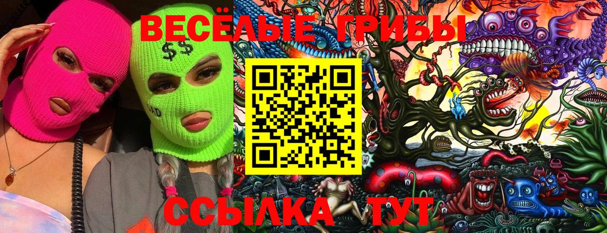 Псилоцибиновые грибы GOLDEN TEACHER Домодедово