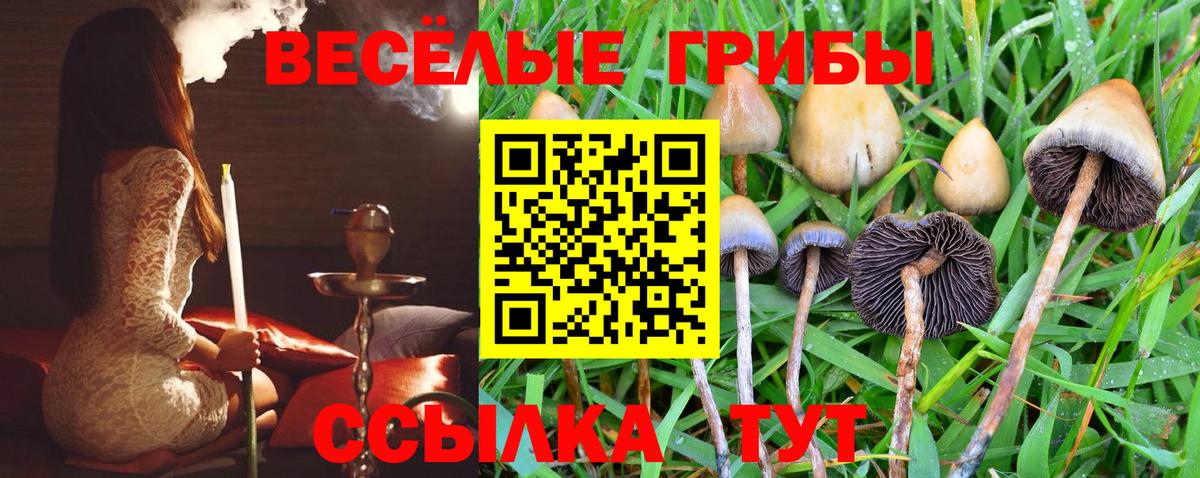 Домодедово  Псилоцибиновые грибы GOLDEN TEACHER  наркошоп  Галлюциногенные грибы прущие грибы  Вход с VPN 
